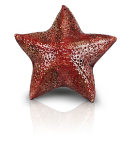 stella marina rossa
